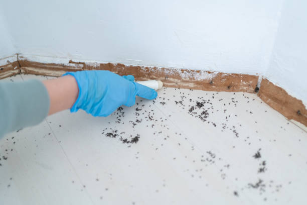 Best Residential Pest Control  in Arcola, IL